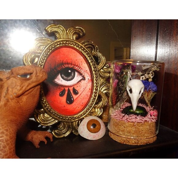 Cicada & Beetle Nature Art Oddity Jar mini vulture skull flowers goth taxidermy - Picture 3 of 10